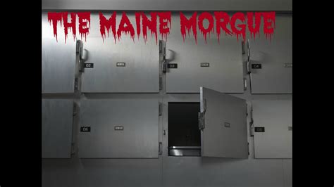 On Monday, December 18th, 2023, the state of <b>Maine</b> was hit with an incredibly bad wind and rainstorm that left so. . Gofundme maine